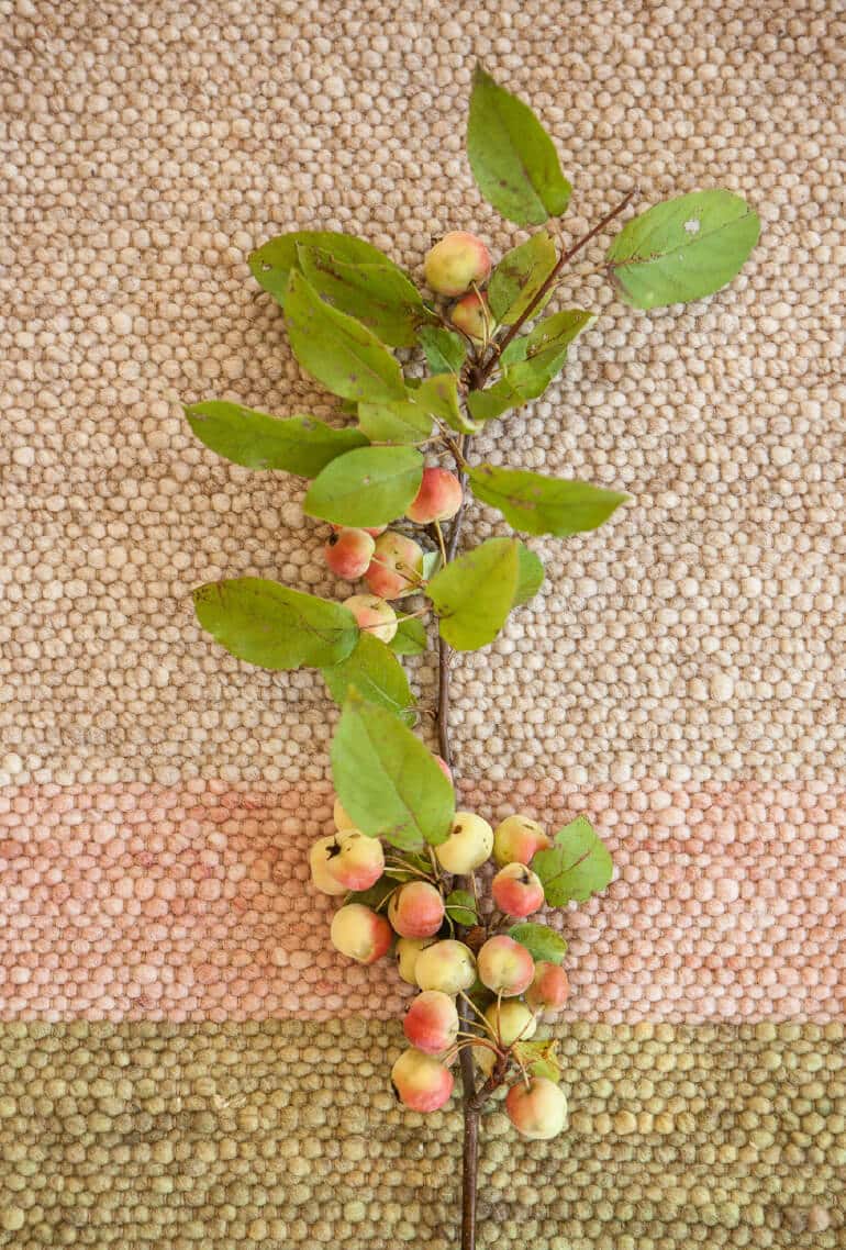 farbe-1